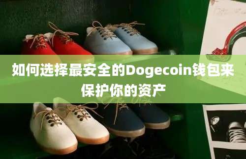 如何选择最安全的Dogecoin钱包来保护你的资产