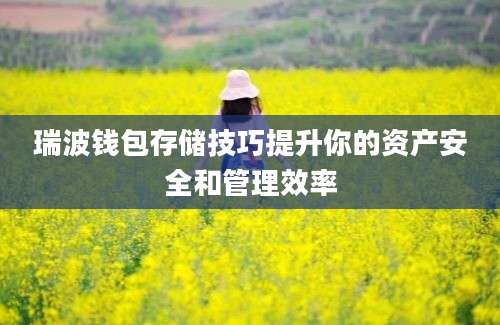 瑞波钱包存储技巧提升你的资产安全和管理效率