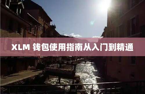 XLM 钱包使用指南从入门到精通