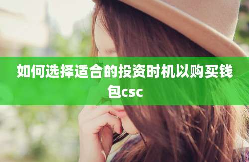 如何选择适合的投资时机以购买钱包csc