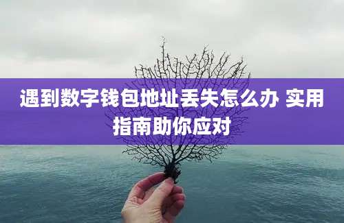 遇到数字钱包地址丢失怎么办 实用指南助你应对