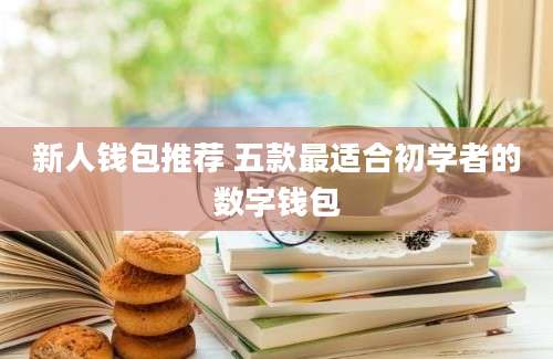 新人钱包推荐 五款最适合初学者的数字钱包