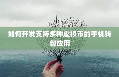 如何开发支持多种虚拟币的手机钱包应用