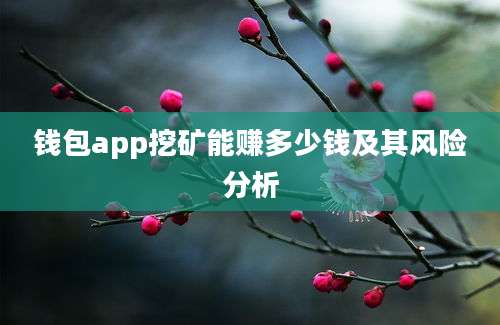 钱包app挖矿能赚多少钱及其风险分析