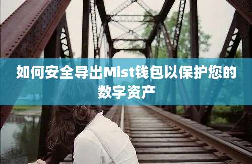 如何安全导出Mist钱包以保护您的数字资产