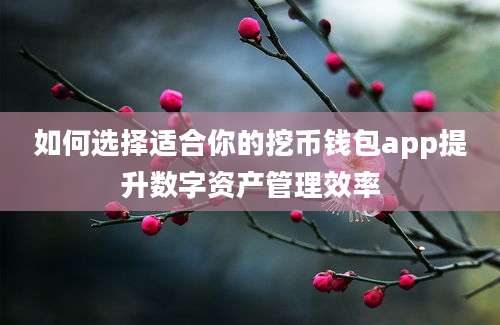 如何选择适合你的挖币钱包app提升数字资产管理效率