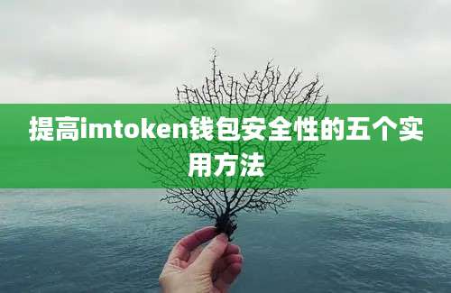 提高imtoken钱包安全性的五个实用方法