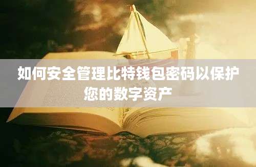 如何安全管理比特钱包密码以保护您的数字资产