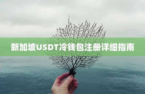 新加坡USDT冷钱包注册详细指南