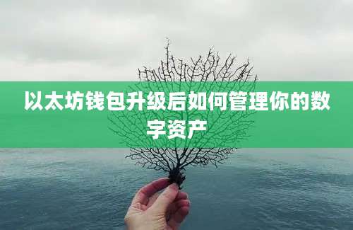 以太坊钱包升级后如何管理你的数字资产