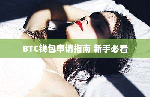 BTC钱包申请指南 新手必看