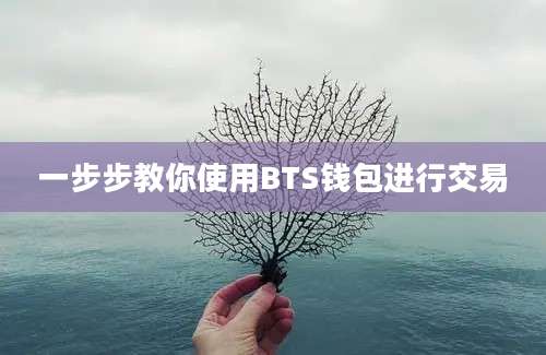 一步步教你使用BTS钱包进行交易