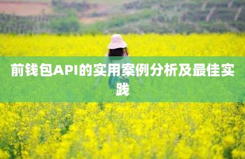 前钱包API的实用案例分析及最佳实践