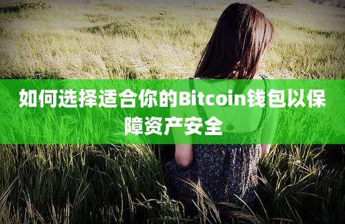 如何选择适合你的Bitcoin钱包以保障资产安全