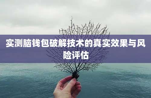 实测脑钱包破解技术的真实效果与风险评估