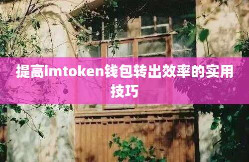 提高imtoken钱包转出效率的实用技巧