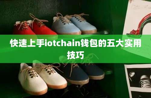 快速上手iotchain钱包的五大实用技巧