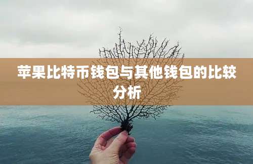 苹果比特币钱包与其他钱包的比较分析