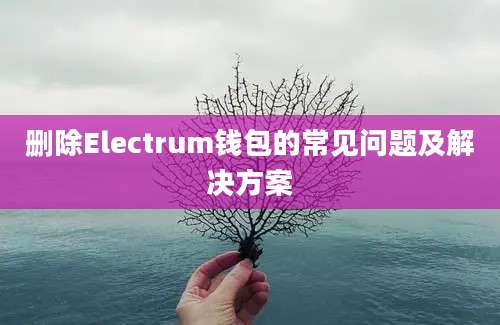 删除Electrum钱包的常见问题及解决方案