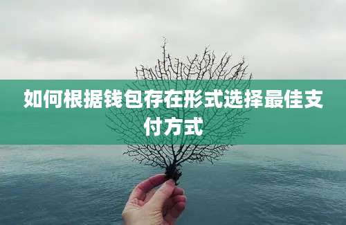 如何根据钱包存在形式选择最佳支付方式