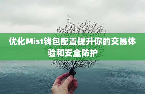 优化Mist钱包配置提升你的交易体验和安全防护