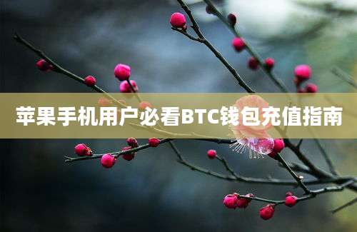 苹果手机用户必看BTC钱包充值指南