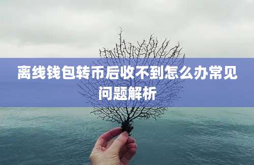 离线钱包转币后收不到怎么办常见问题解析