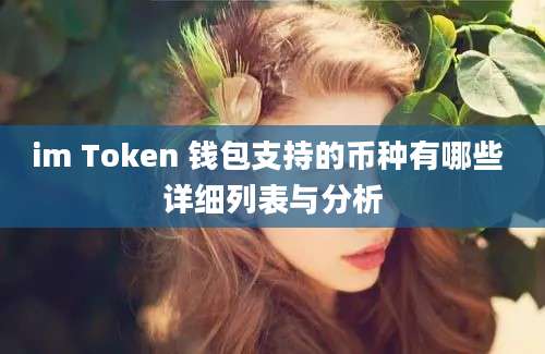 im Token 钱包支持的币种有哪些 详细列表与分析