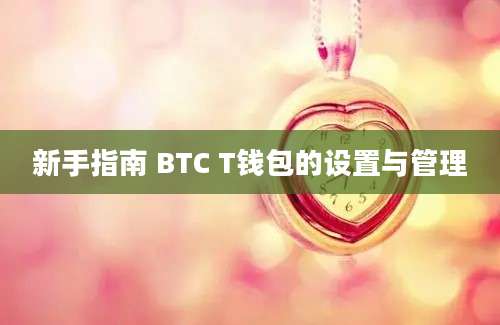 新手指南 BTC T钱包的设置与管理