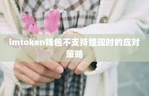 imtoken钱包不支持提现时的应对策略