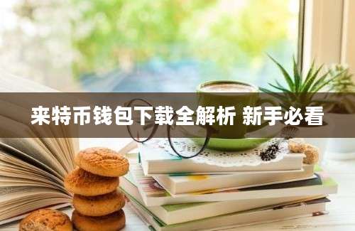 来特币钱包下载全解析 新手必看