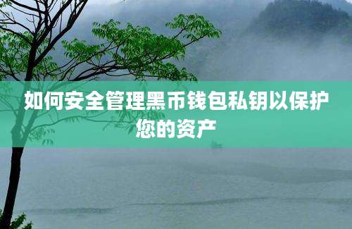 如何安全管理黑币钱包私钥以保护您的资产