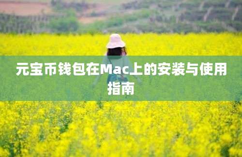 元宝币钱包在Mac上的安装与使用指南