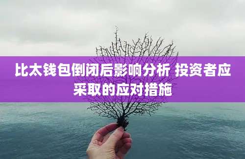 比太钱包倒闭后影响分析 投资者应采取的应对措施