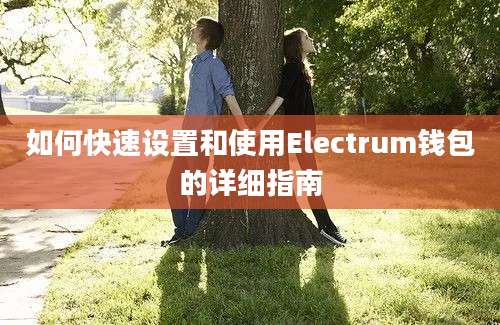 如何快速设置和使用Electrum钱包的详细指南