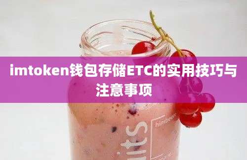 imtoken钱包存储ETC的实用技巧与注意事项