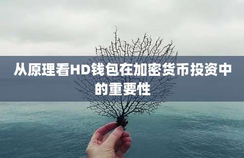 从原理看HD钱包在加密货币投资中的重要性