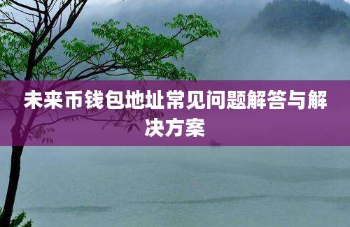 未来币钱包地址常见问题解答与解决方案