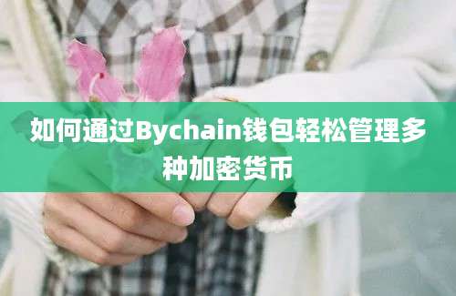 如何通过Bychain钱包轻松管理多种加密货币