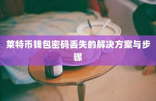 莱特币钱包密码丢失的解决方案与步骤