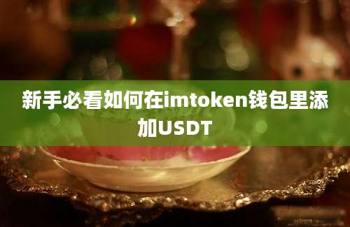 新手必看如何在imtoken钱包里添加USDT