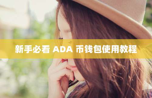 新手必看 ADA 币钱包使用教程