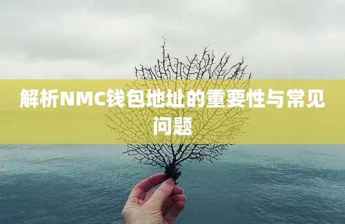 解析NMC钱包地址的重要性与常见问题