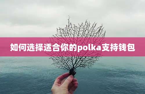 如何选择适合你的polka支持钱包