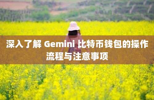 深入了解 Gemini 比特币钱包的操作流程与注意事项