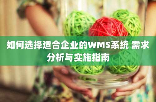 如何选择适合企业的WMS系统 需求分析与实施指南