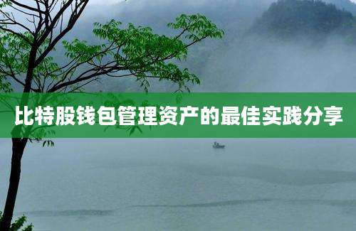 比特股钱包管理资产的最佳实践分享