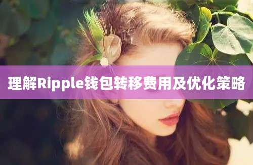 理解Ripple钱包转移费用及优化策略