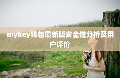 mykey钱包最新版安全性分析及用户评价