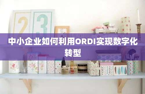 中小企业如何利用ORDI实现数字化转型